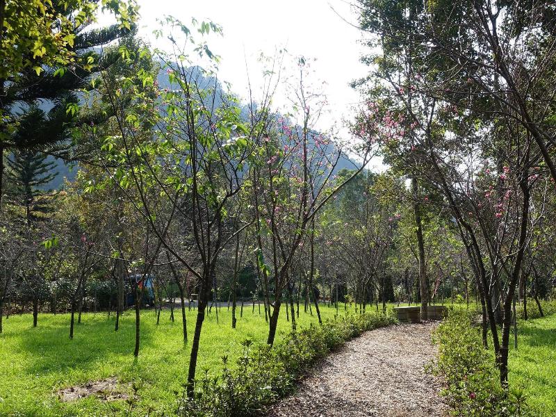 Tai-Yi Red Maple Resort image