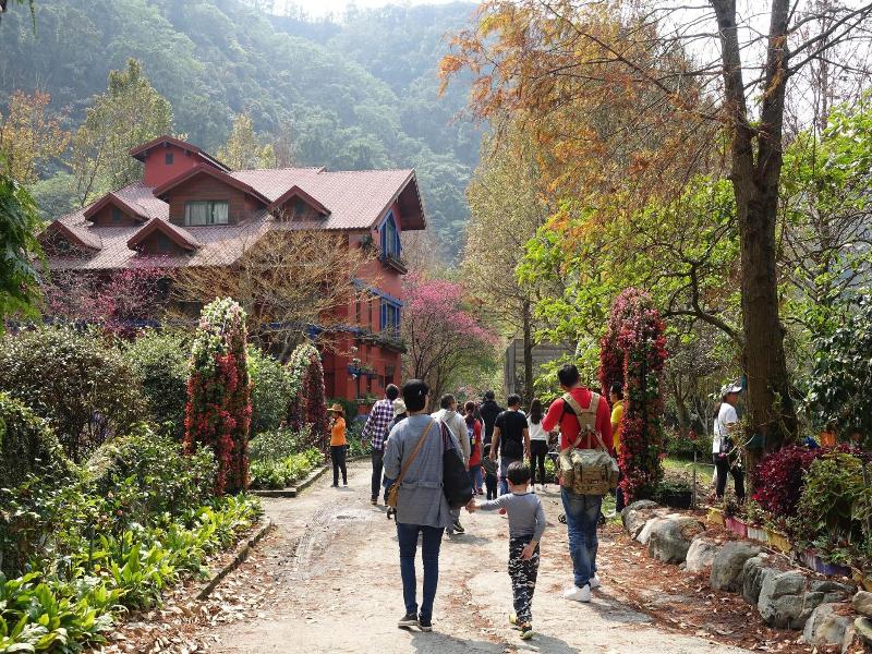 Tai-Yi Red Maple Resort image