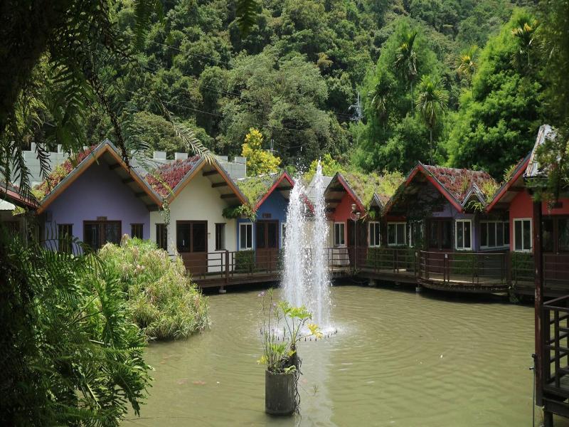 Tai-Yi Red Maple Resort image