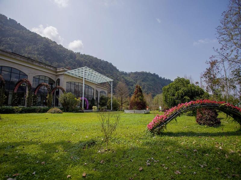 Tai-Yi Red Maple Resort image