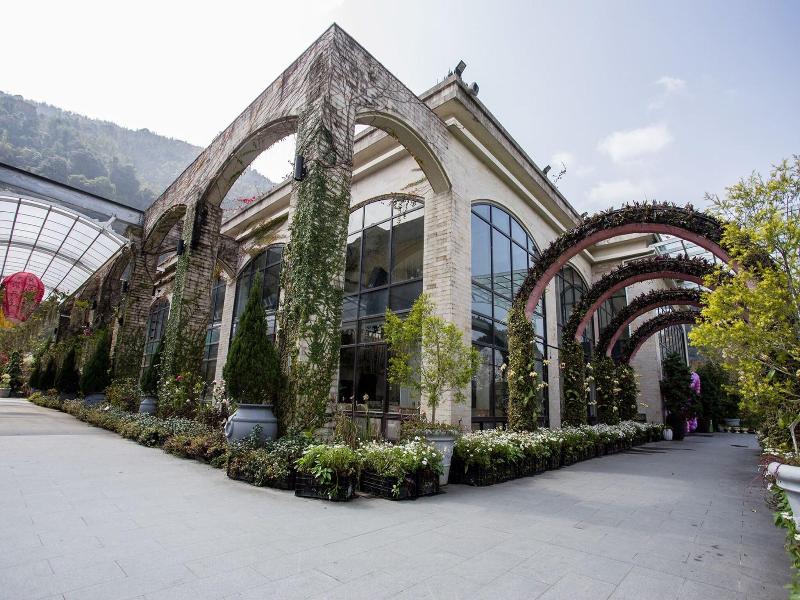 Tai-Yi Red Maple Resort image