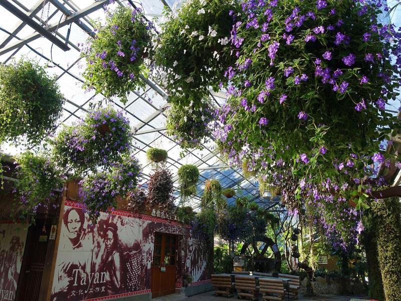 Tai-Yi Red Maple Resort image