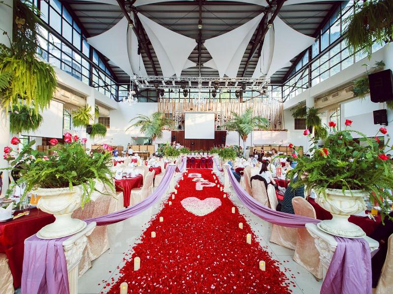 Tai-Yi Red Maple Resort image