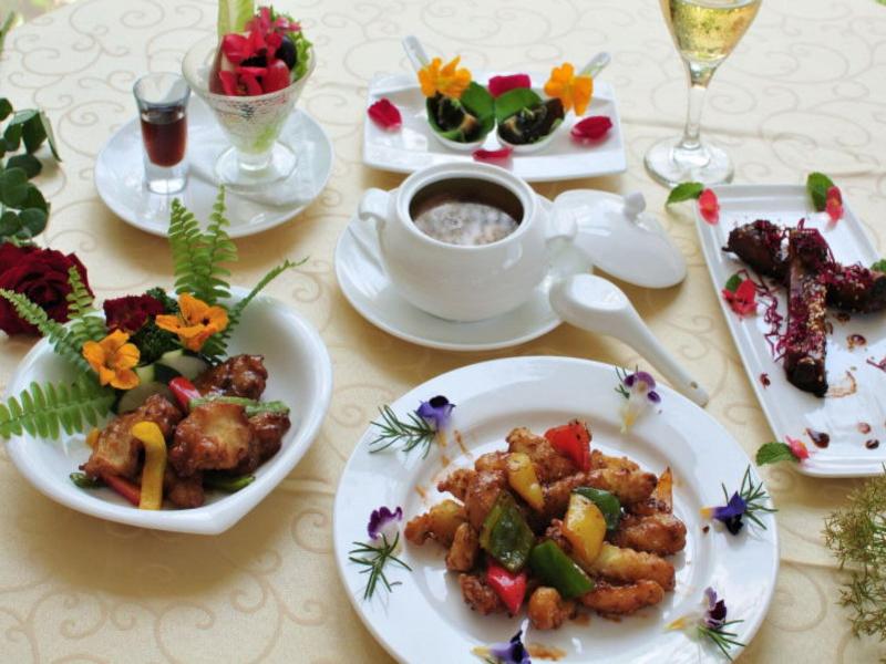 Tai-Yi Red Maple Resort image
