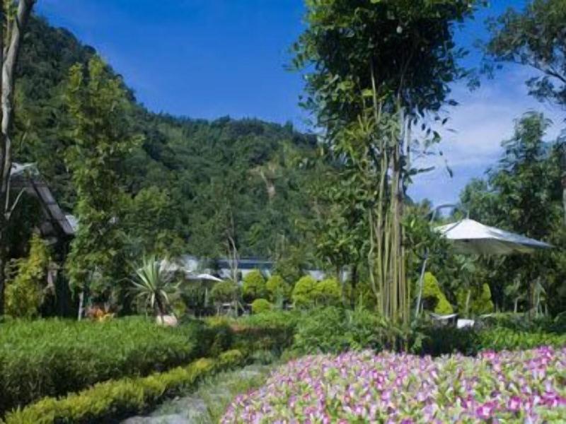Tai-Yi Red Maple Resort image
