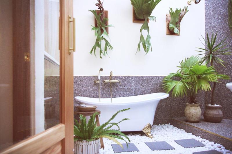 Maison Bohe'me