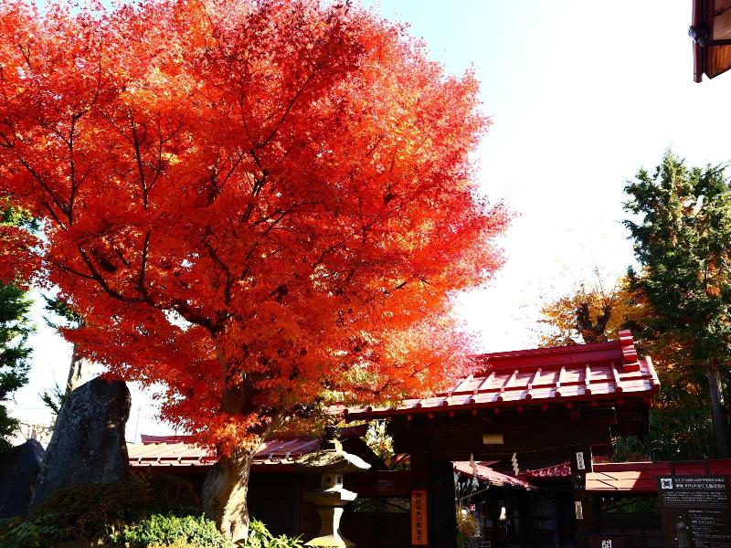 HOSTEL FUJISAN YOU image
