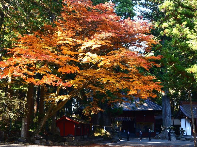 HOSTEL FUJISAN YOU image