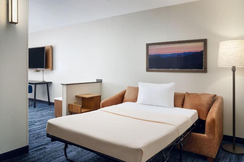 Fairfield Inn & Suites By Marriott Auburn Opelika image