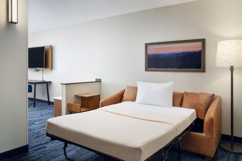 Fairfield Inn & Suites By Marriott Auburn Opelika image