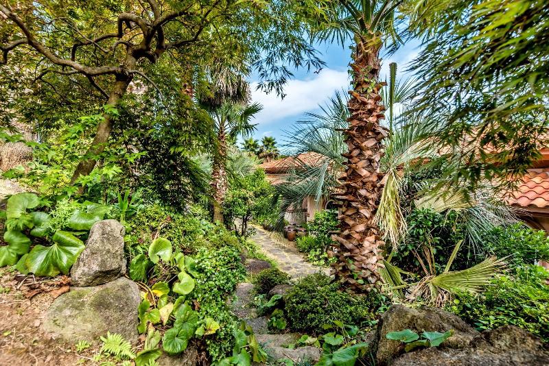 Palm Valley Resort image