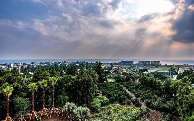 Sunrise Hotel Jeju image