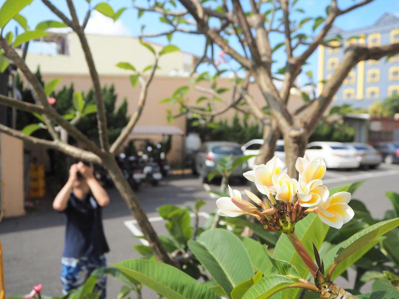The Riverside Hotel Hengchun image