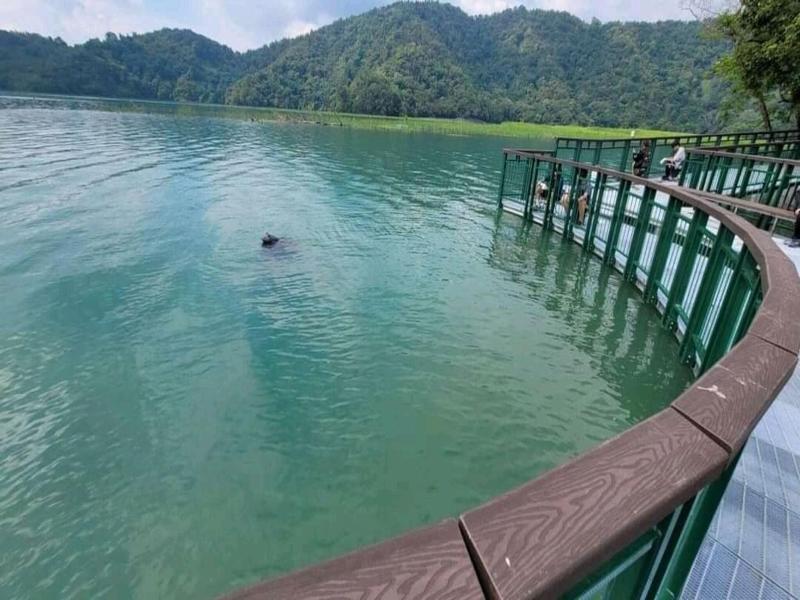 Sun Moon Lake Youth Activity Center Hostel image
