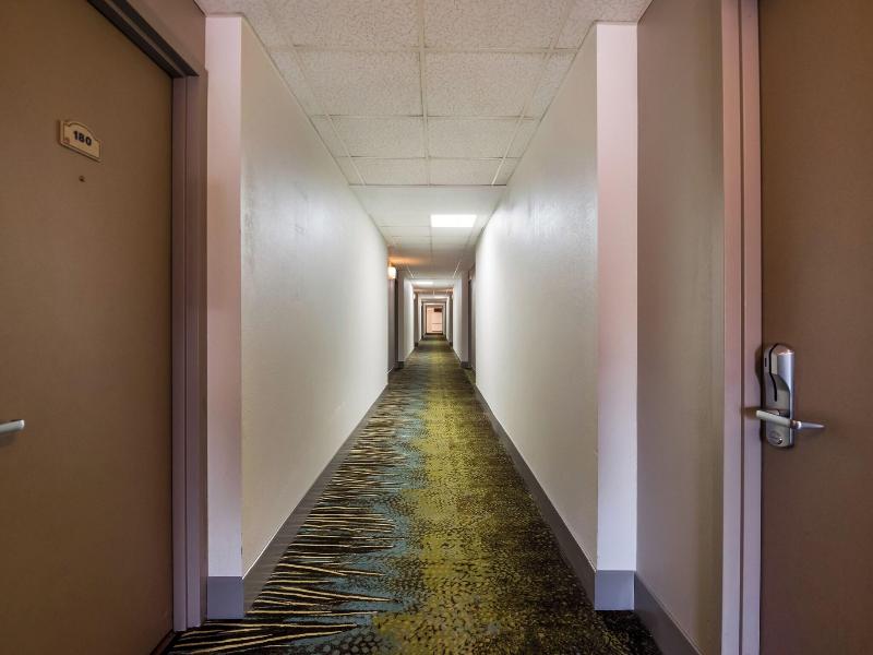 Red Roof Inn & Suites Newark - University image