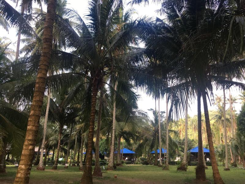 Koh Kood Neverland Beach Resort image