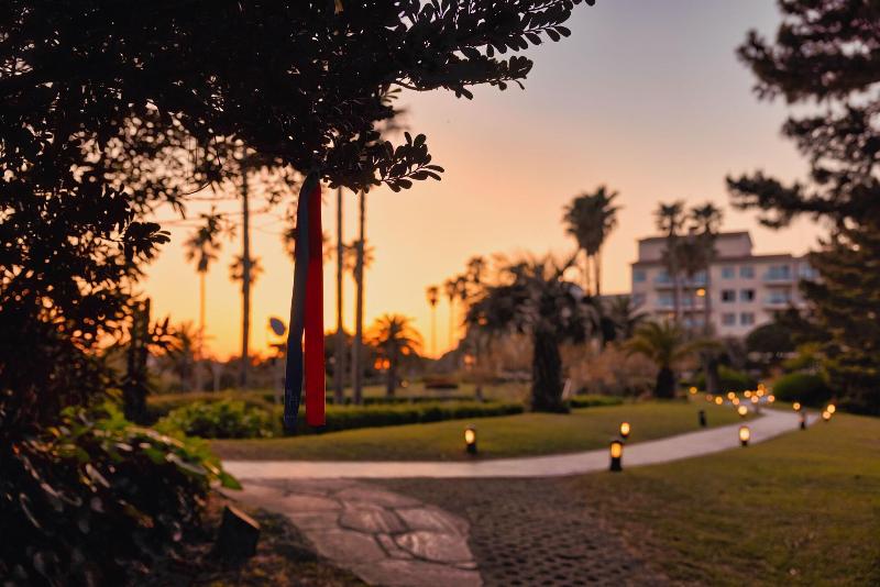 Kensington Resort Seogwipo image