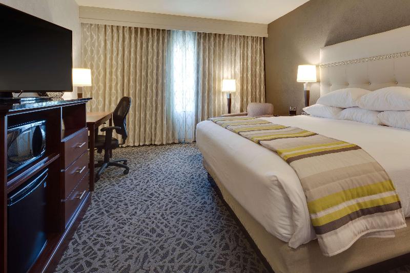 Drury Plaza Hotel Cape Girardeau Conference Center image