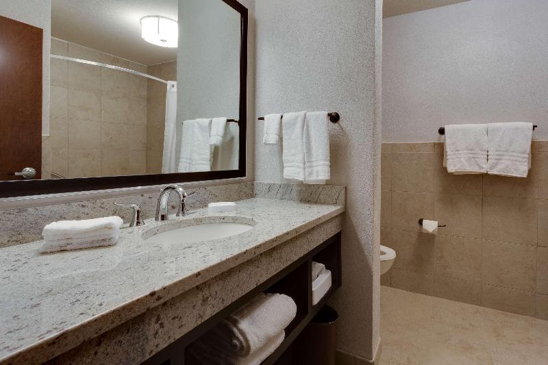 Drury Plaza Hotel Cape Girardeau Conference Center image