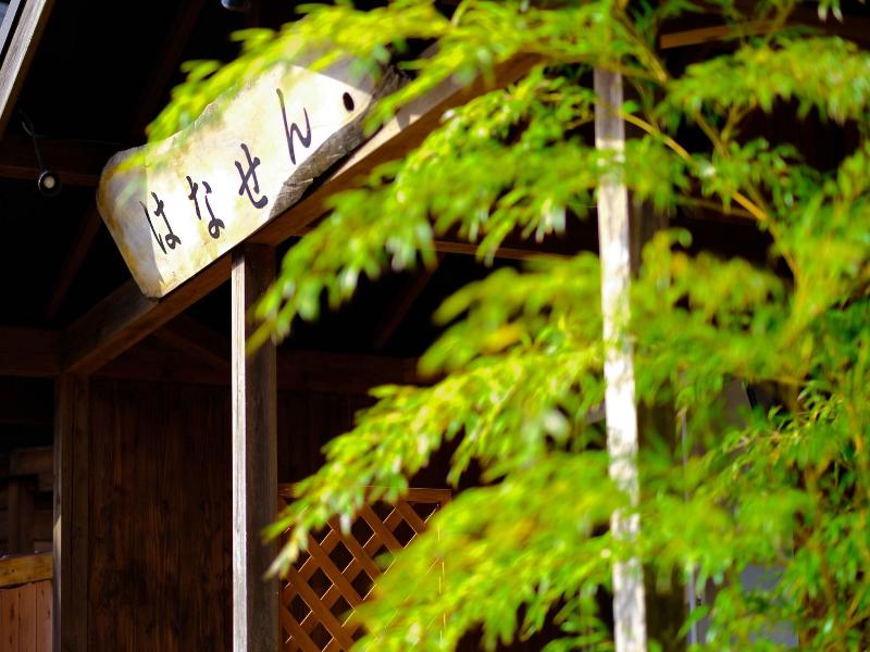 Hanasen image
