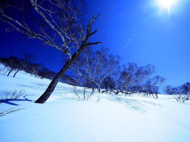 Yuzawa Ski House image