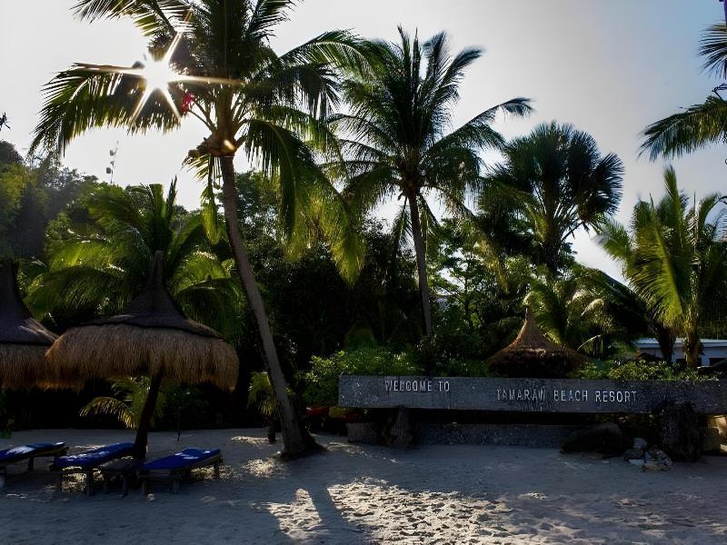 Tamaraw Beach Resort image
