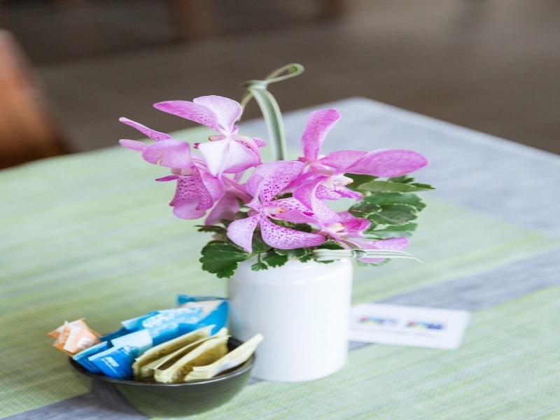 THE BEACH CHA AM GUEST HOUSE image