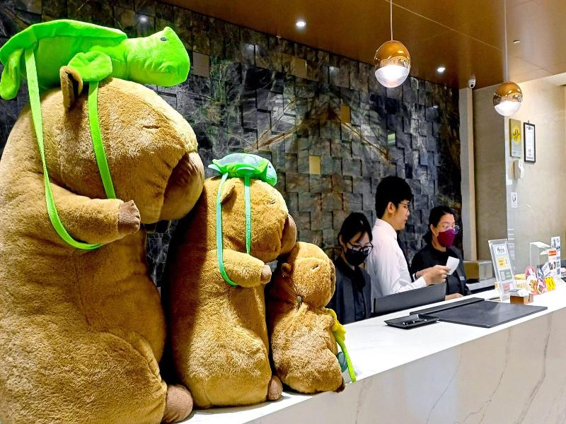 Best Hotel image