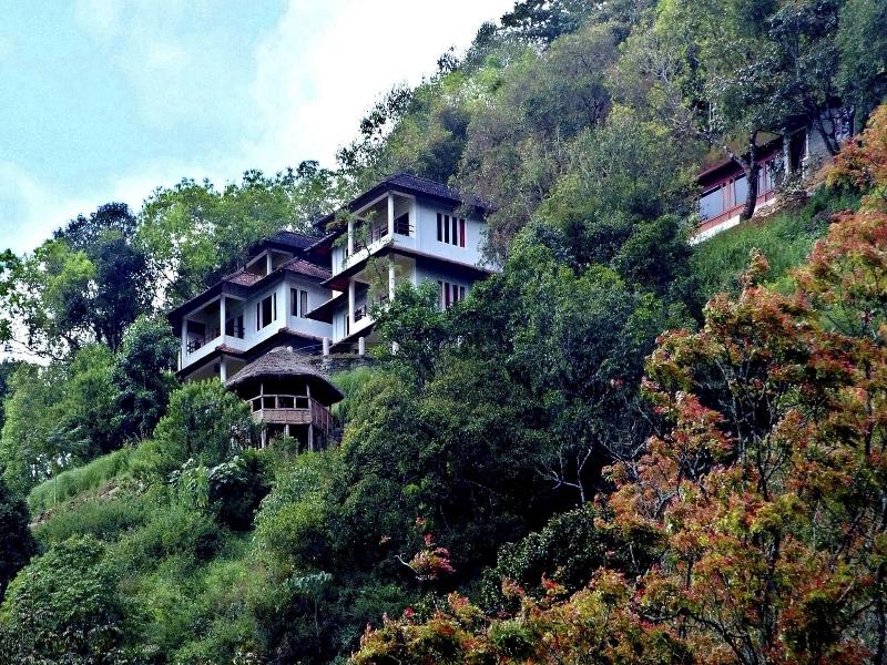 Blackberry Hills Munnar-Nature Resort & Spa image