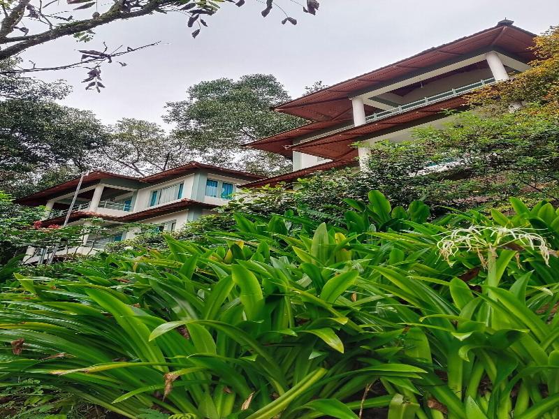 Blackberry Hills Munnar-Nature Resort & Spa image