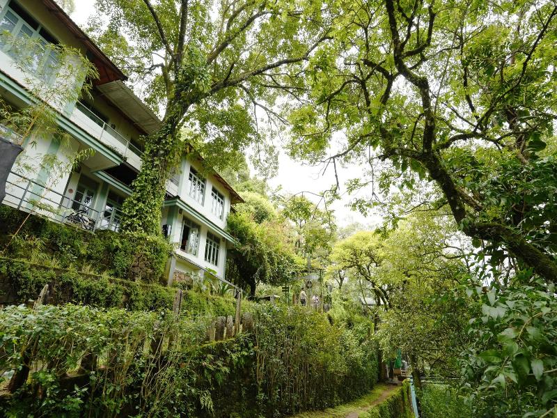 Blackberry Hills Munnar-Nature Resort & Spa image