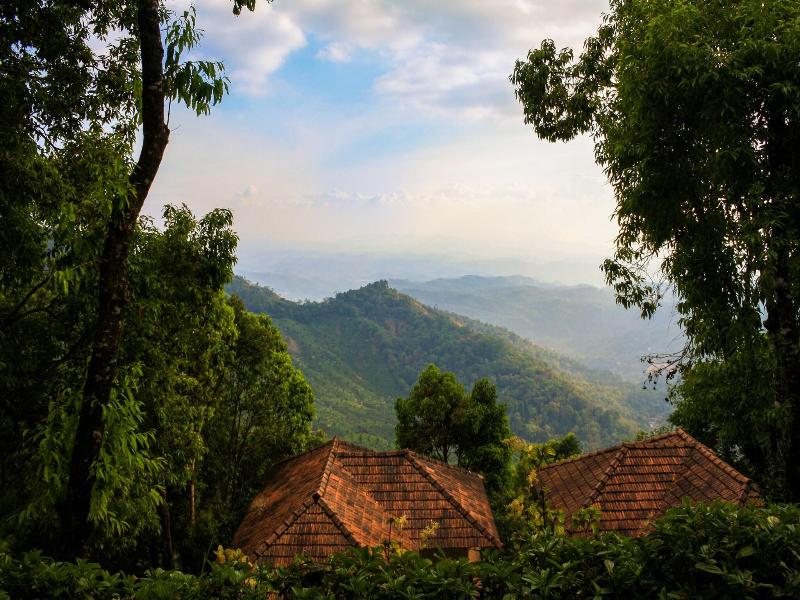 Blackberry Hills Munnar-Nature Resort & Spa image