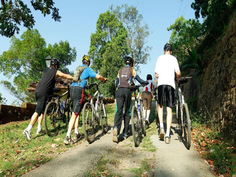 Blackberry Hills Munnar-Nature Resort & Spa image
