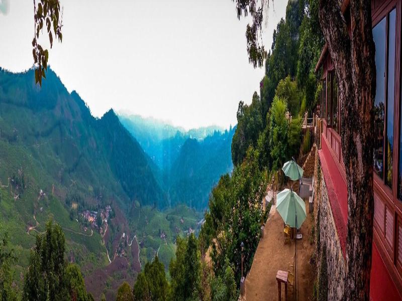 Blackberry Hills Munnar-Nature Resort & Spa image