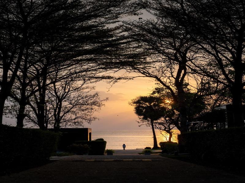 Sunshine Paradise Resort image