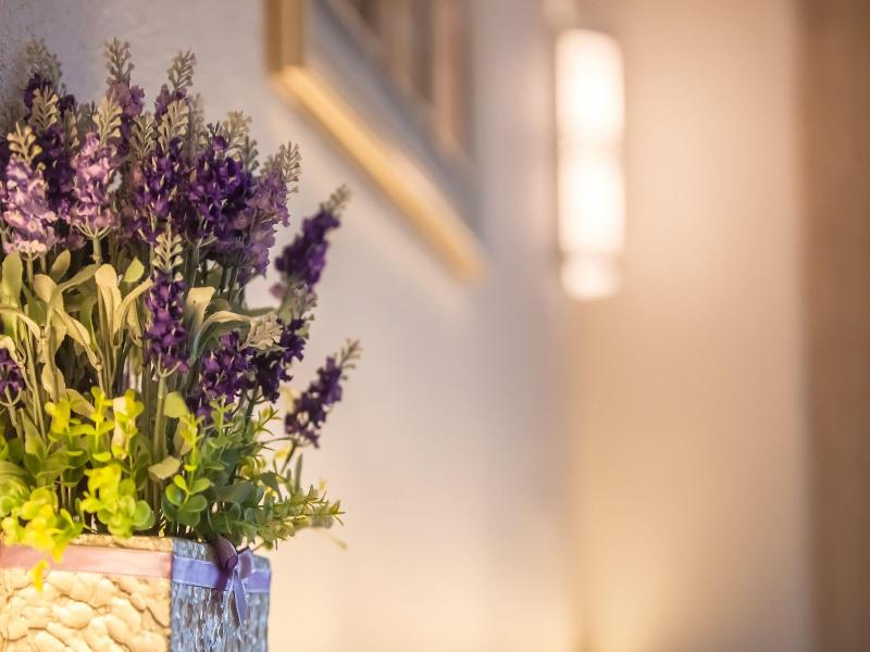 Lavender Inn Nusa image