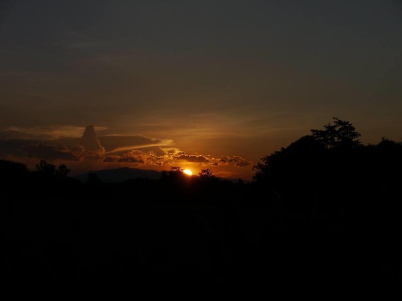 Bambuh Boutique Homestay - Adult Only