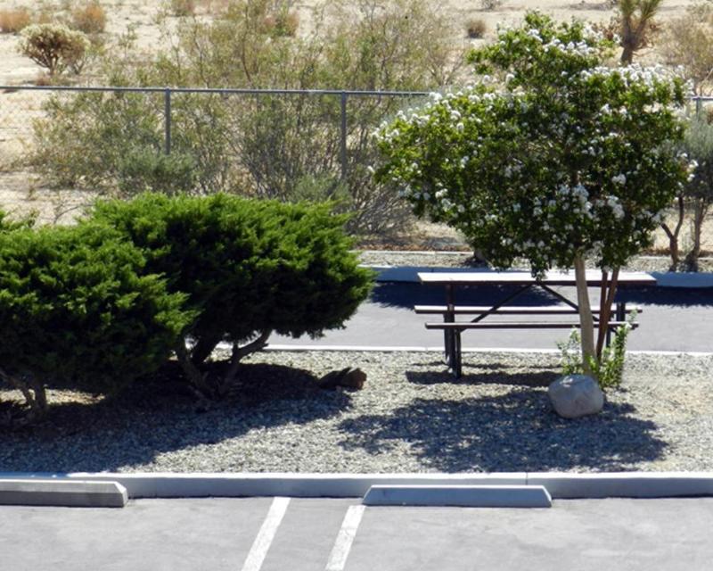 High Desert Motel Joshua Tree National Park image