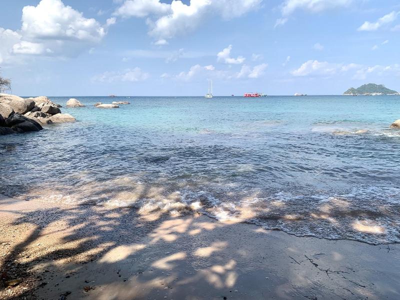 Ocean View Resort image
