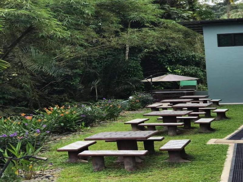 Green Peace Sungai Lembing