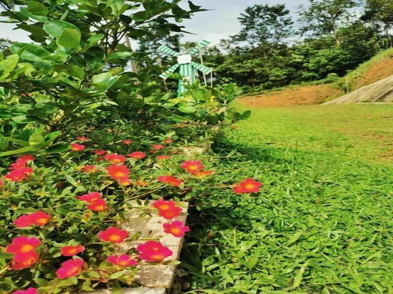 Green Peace Sungai Lembing