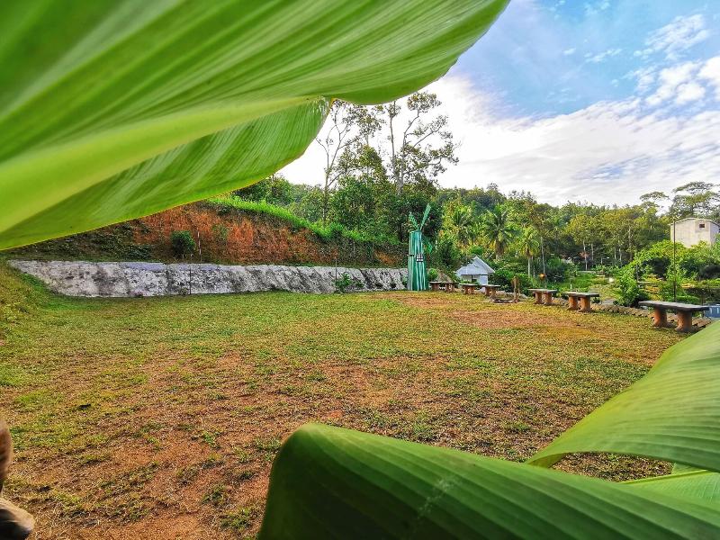 Green Peace Sungai Lembing