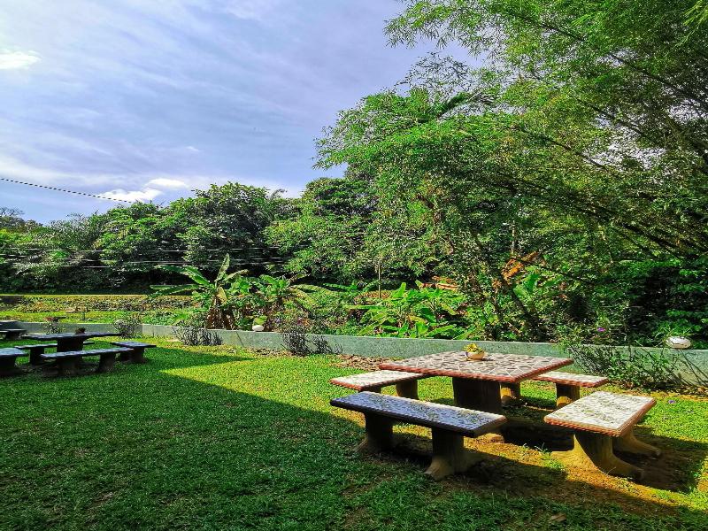 Green Peace Sungai Lembing