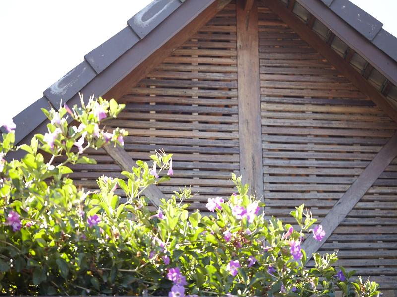 House Of Love Hotel Pai image