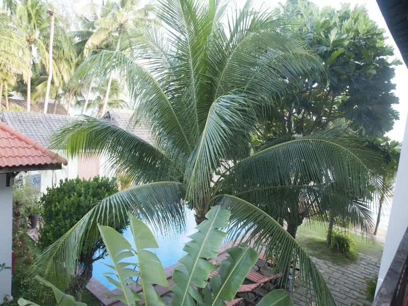 Vuon Tra Resort image