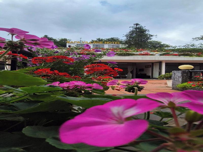 Sapa Village Hotel