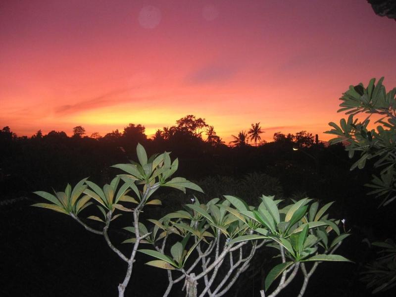 Desak Putu Putera Homestay image