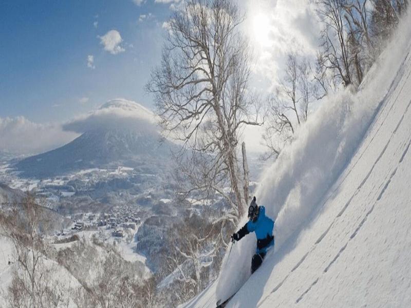 Always Niseko