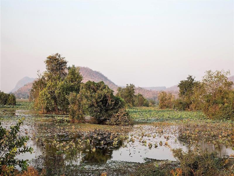 Maisons Wat Kor image