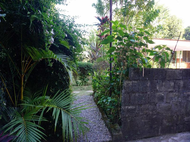 The Cherry Garden image
